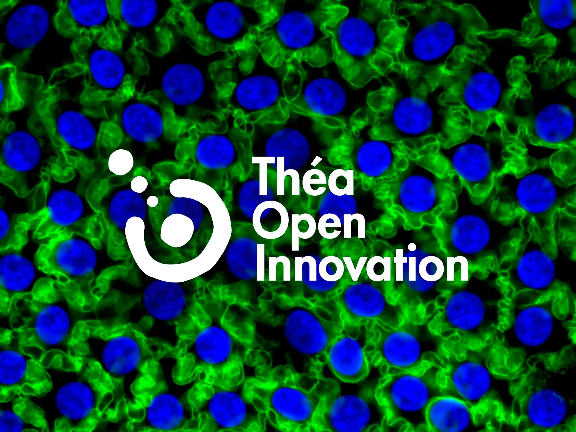 Théa Open Innovation, une structure dédiée à l'innovation